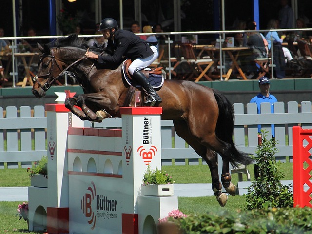 的潜在影响 的潜在影响