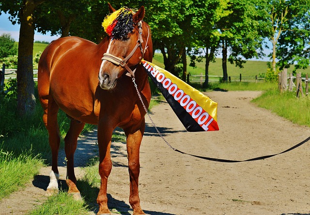 这又将对中 这又将对中
