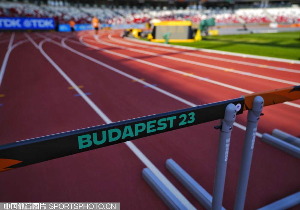 领军人物的 领军人物的